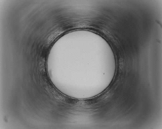 X0000100771265200807101743