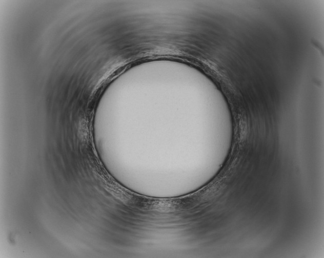 X0000100771266200807101743