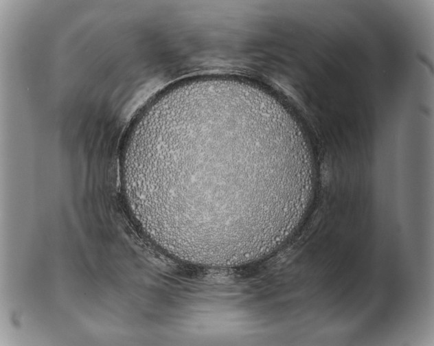 X0000100771267200807101743