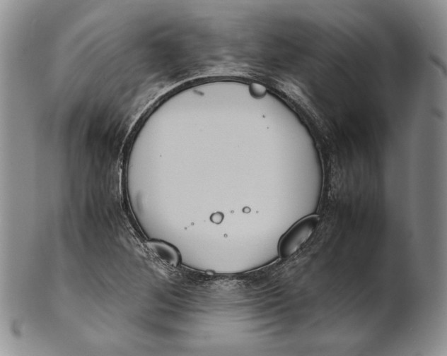 X0000100771268200807101743
