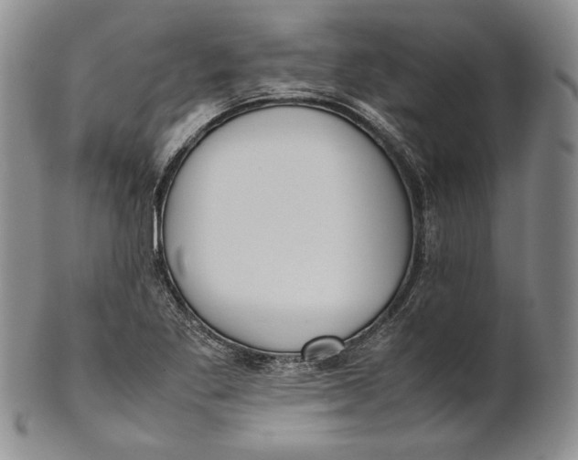 X0000100771269200807101743