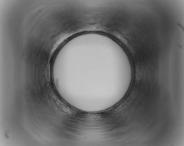 X0000100771270200807101743