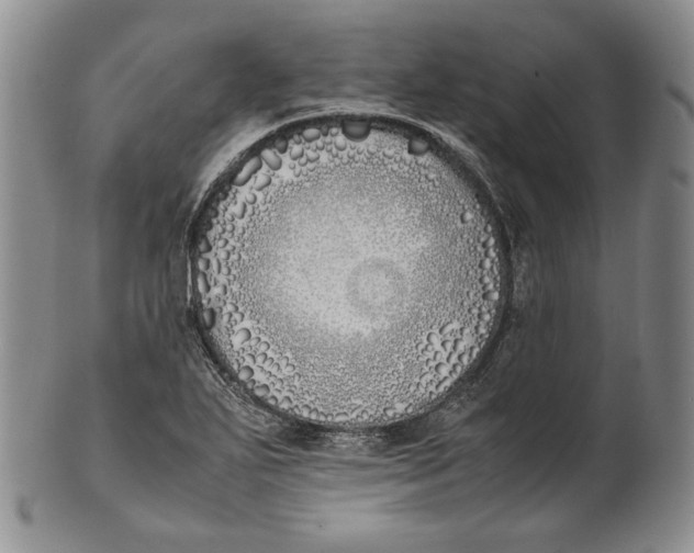 X0000100771271200807101743