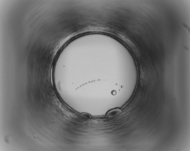 X0000100771272200807101743