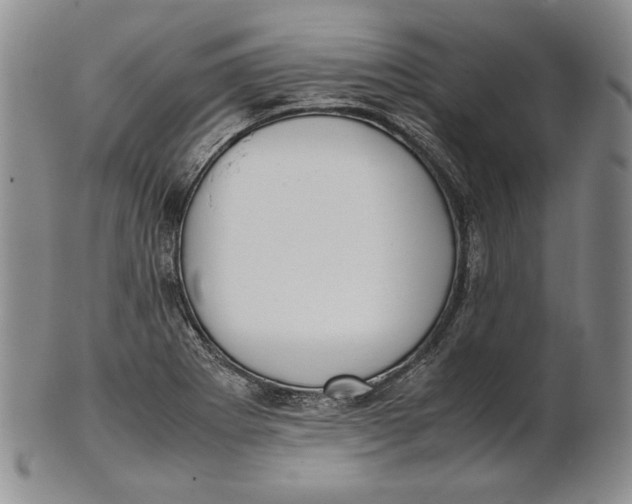 X0000100771273200807101743