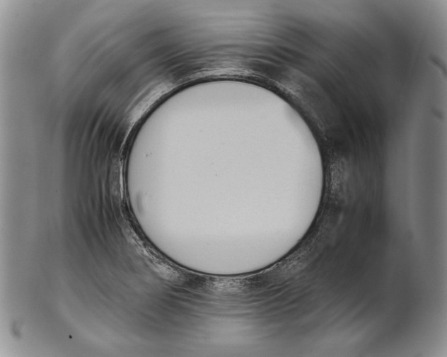 X0000100771274200807101743