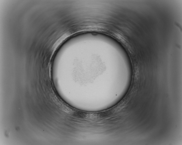 X0000100771275200807101743