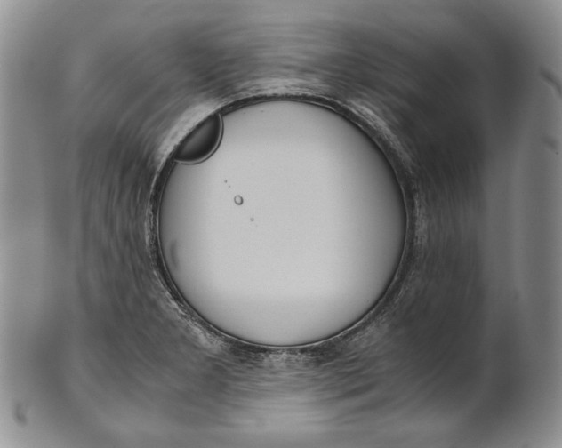 X0000100771277200807101743