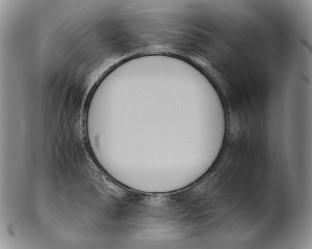 X0000100771278200807101743