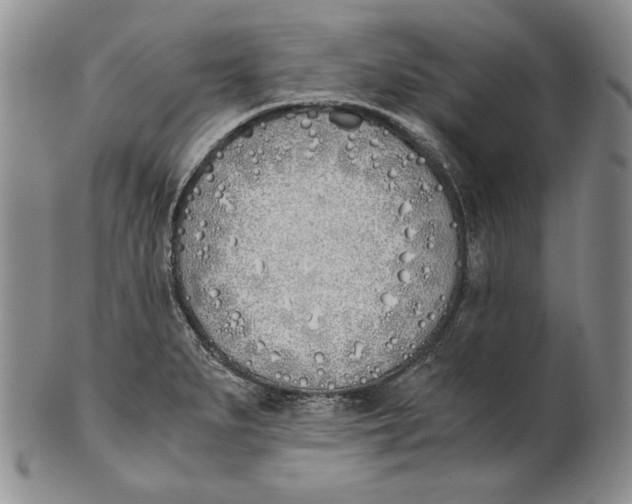 X0000100771279200807101743