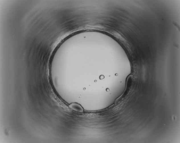 X0000100771280200807101743