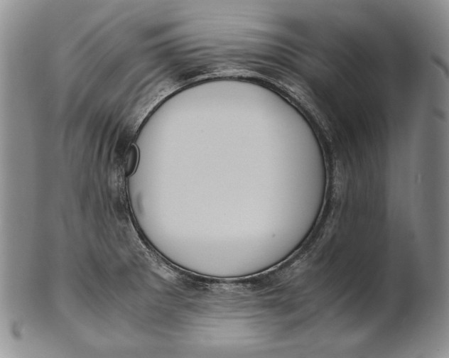 X0000100771281200807101743