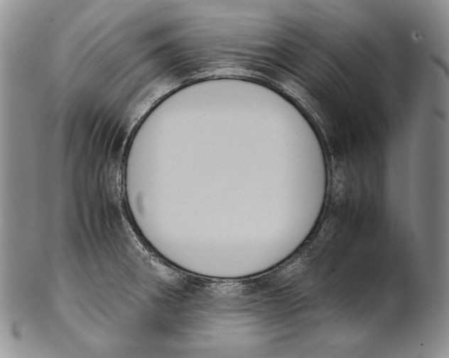 X0000100771282200807101743