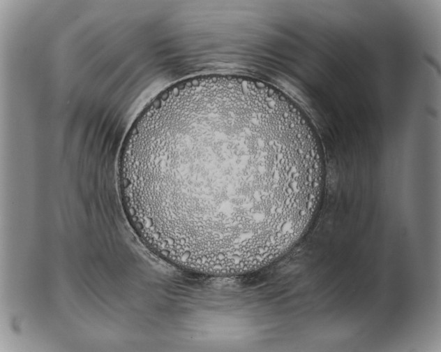X0000100771283200807101743