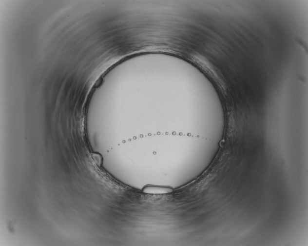 X0000100771284200807101743