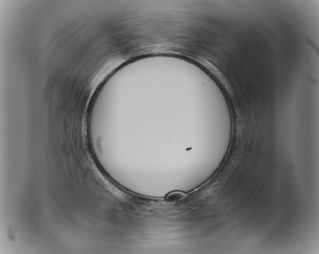 X0000100771285200807101743