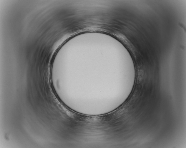 X0000100771286200807101743