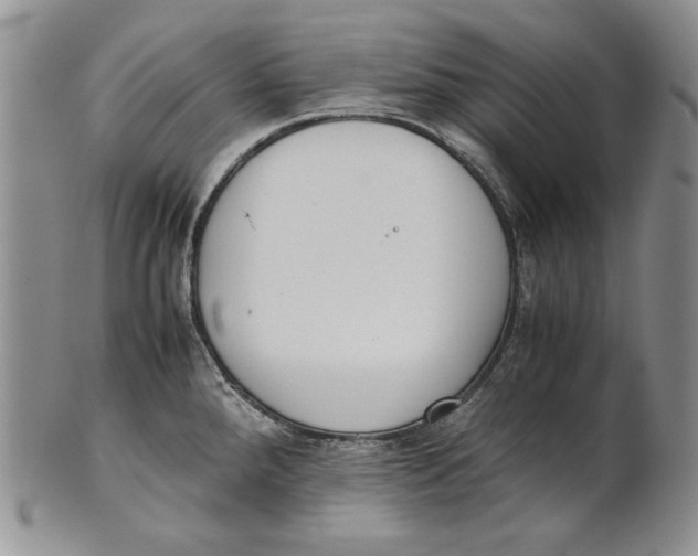 X0000100771288200807101743