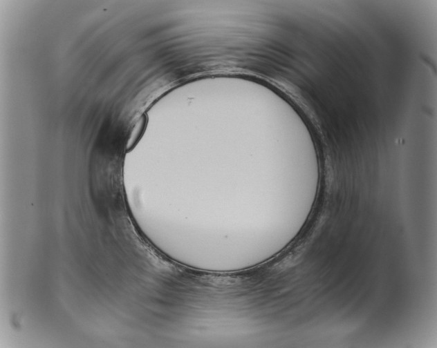 X0000100771289200807101743