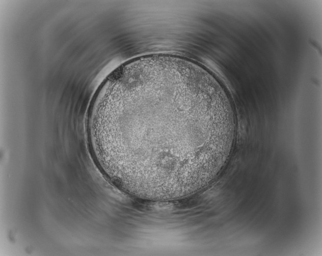X0000100771291200807101742