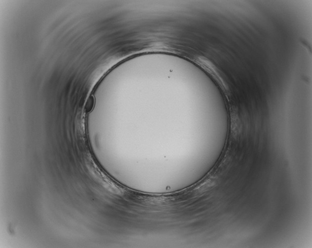 X0000100771292200807101742