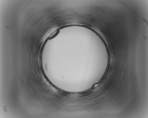 X0000100771293200807101742