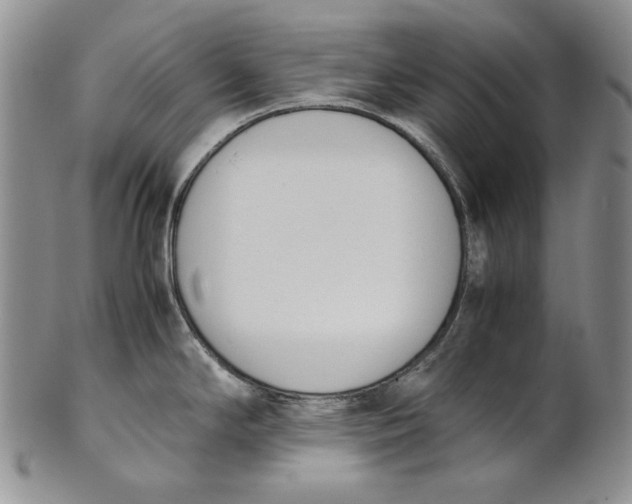 X0000100771294200807101742