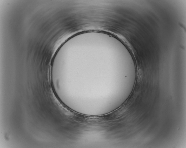 X0000100771295200807101742