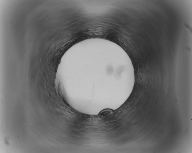 X0000100771297200807101741