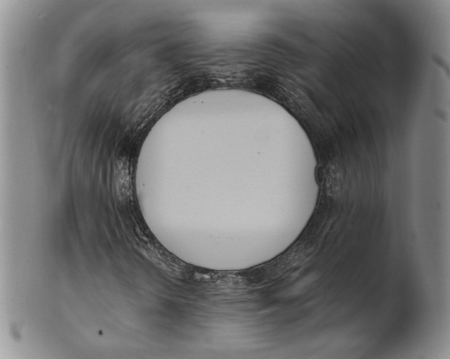 X0000100771298200807101741