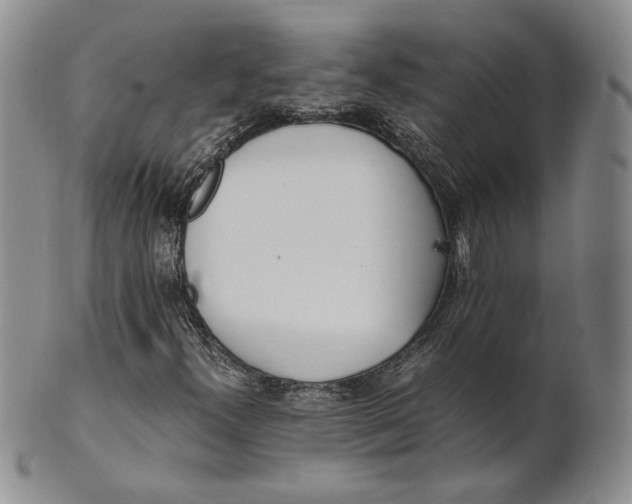X0000100771300200807101741