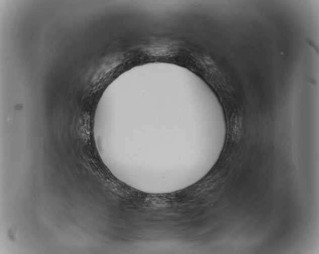 X0000100771301200807101741