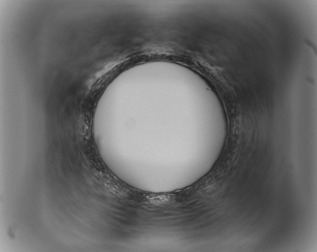 X0000100771303200807101742