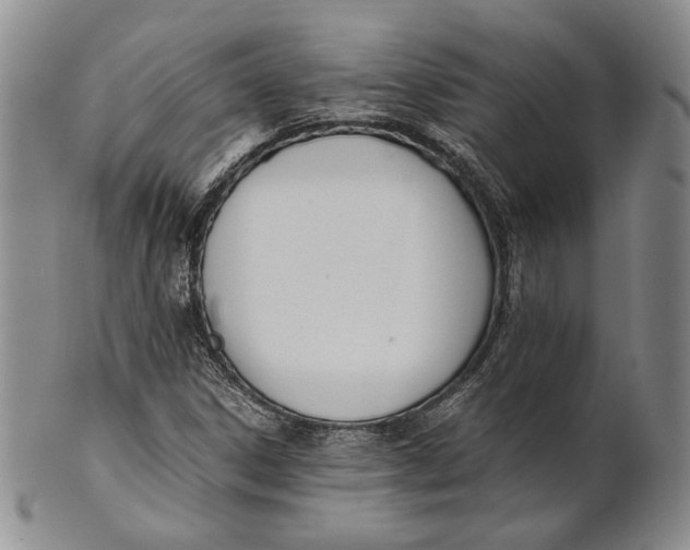 X0000100771306200807101742