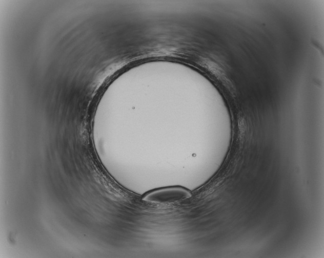 X0000100771308200807101742