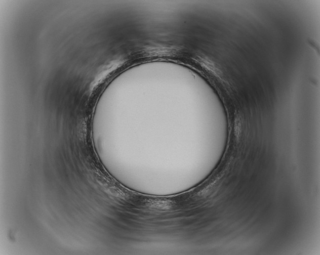 X0000100771309200807101742