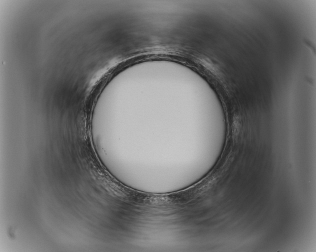 X0000100771310200807101742