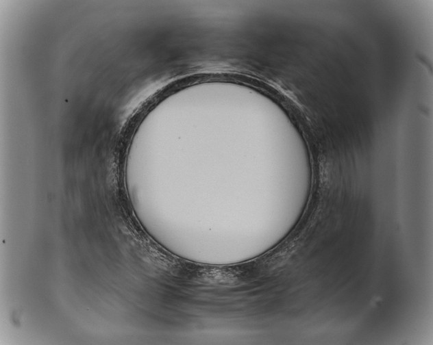 X0000100771311200807101742