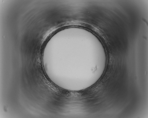 X0000100771312200807101742