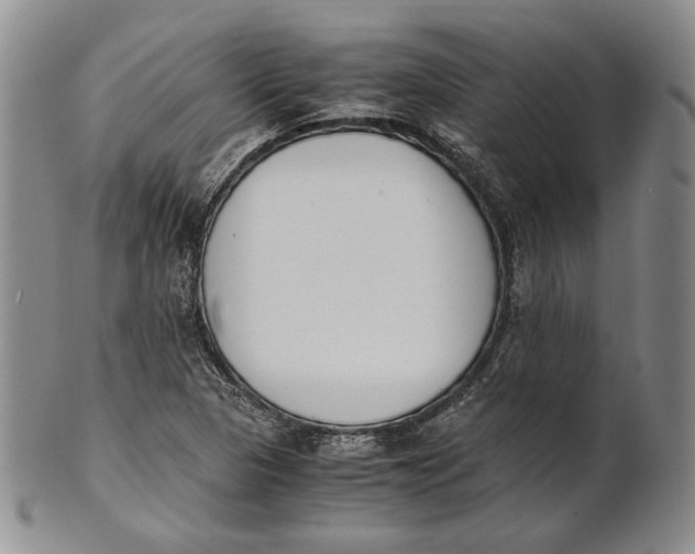 X0000100771313200807101742
