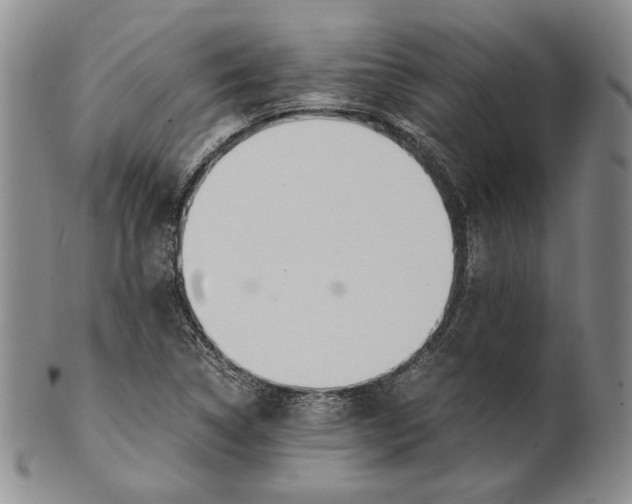 X0000100771314200807101742