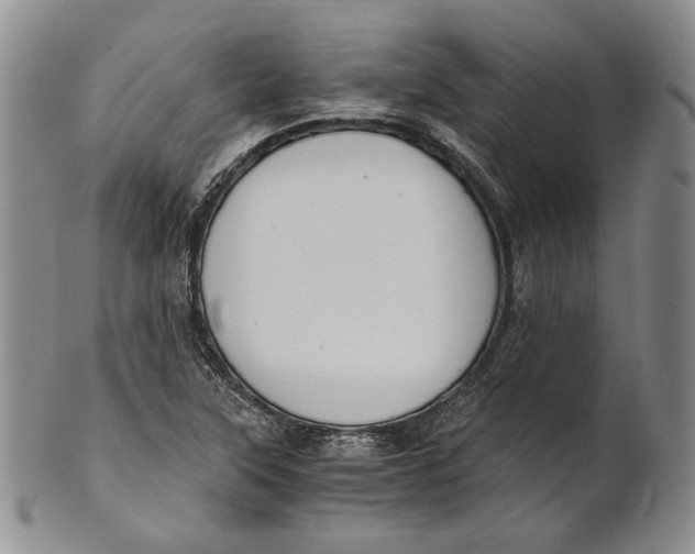 X0000100771315200807101742
