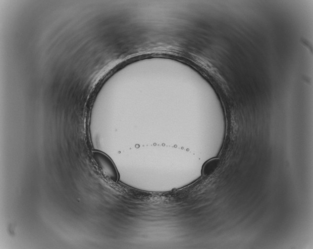 X0000100771316200807101742