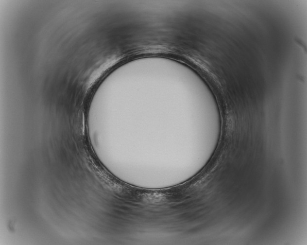 X0000100771317200807101742