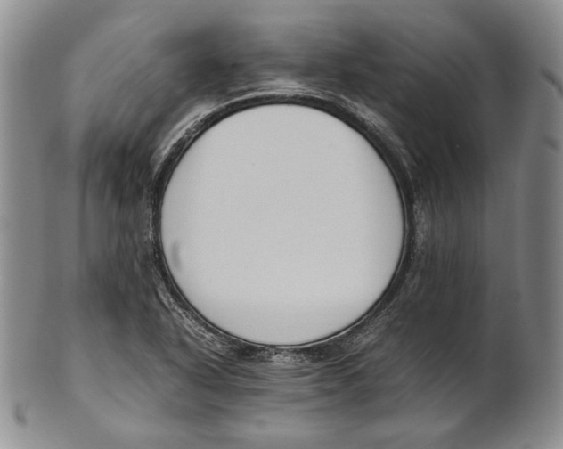 X0000100771318200807101742