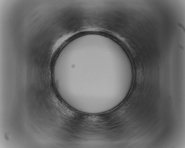 X0000100771319200807101742