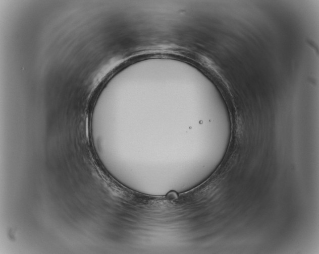 X0000100771320200807101742