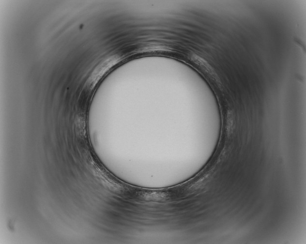 X0000100771321200807101742