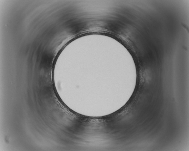 X0000100771322200807101742
