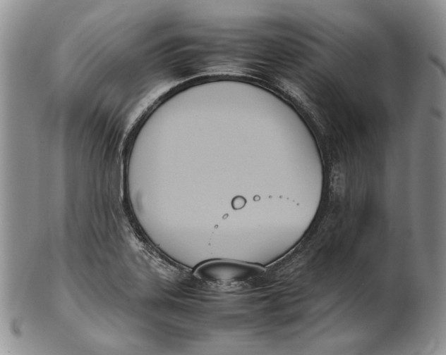 X0000100771323200807101742